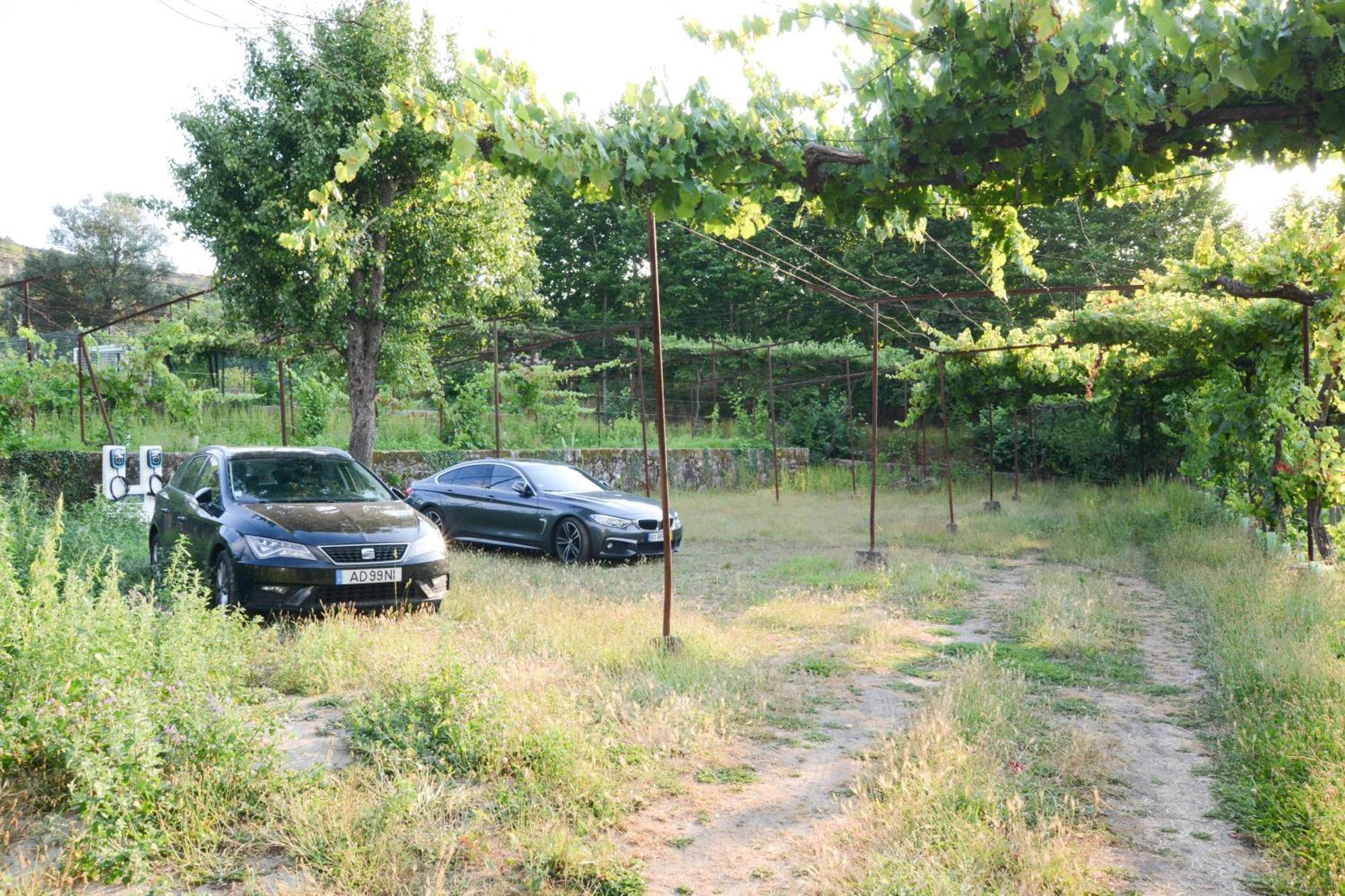 Quinta Do Fundo Villa Mondim de Basto Eksteriør bilde